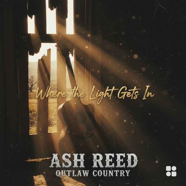 Where the Light Gets In