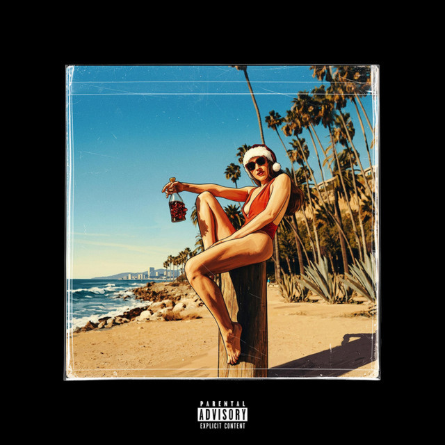 Summer Vibes in the Winter cover art