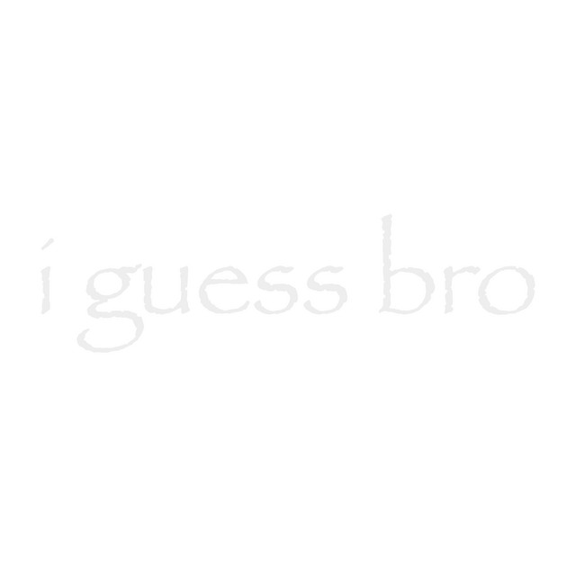 i guess bro cover art