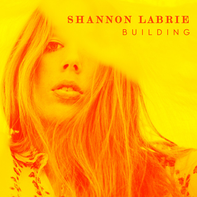 Building cover art