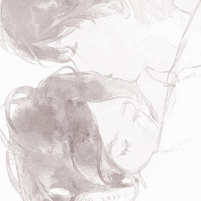 broken bones cover art