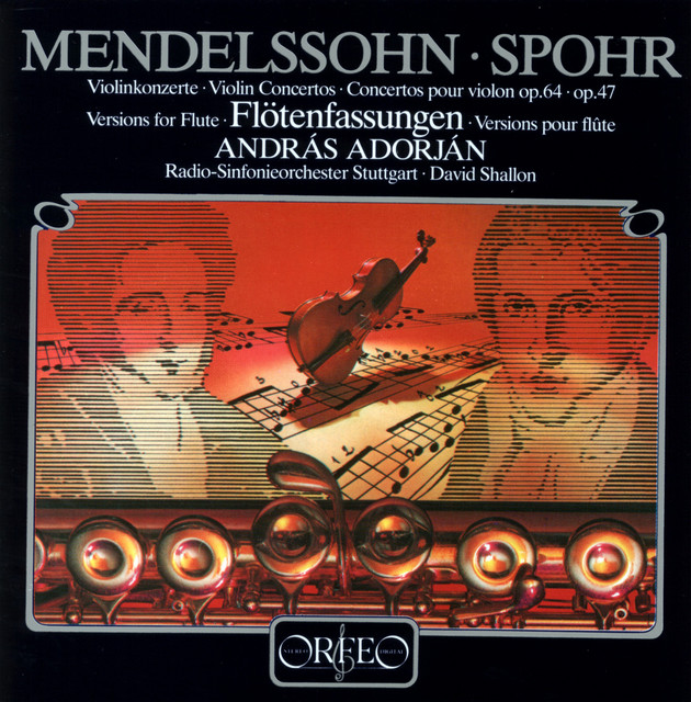 Violin Concerto in E Minor, Op. 64, MWV O 14 (Arr. W. Popp for Flute & Orchestra): I. Allegro molto appassionato cover art