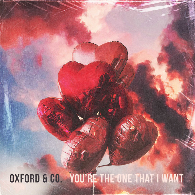 You're the One That I Want cover