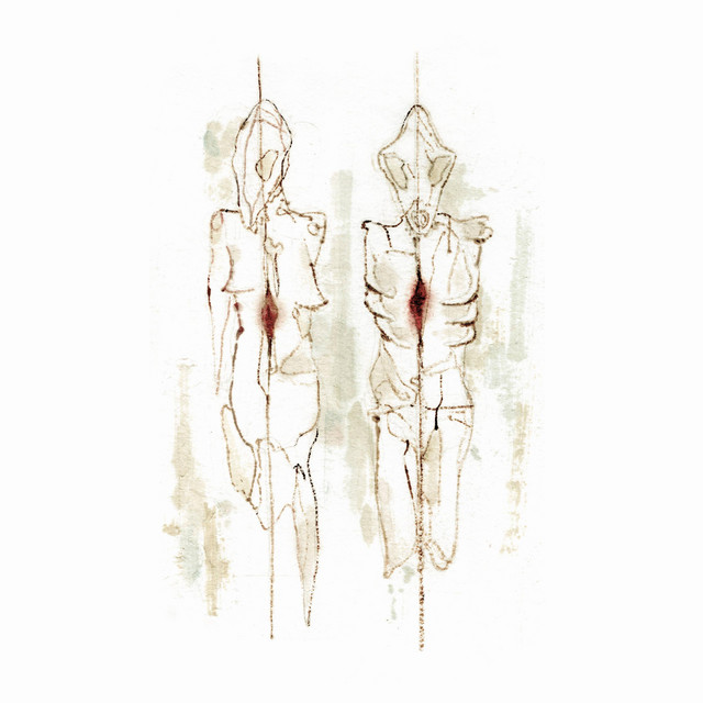 Root cover art