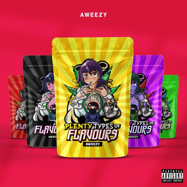 Plenty Type of Flavours cover art
