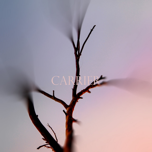 Carrier cover art