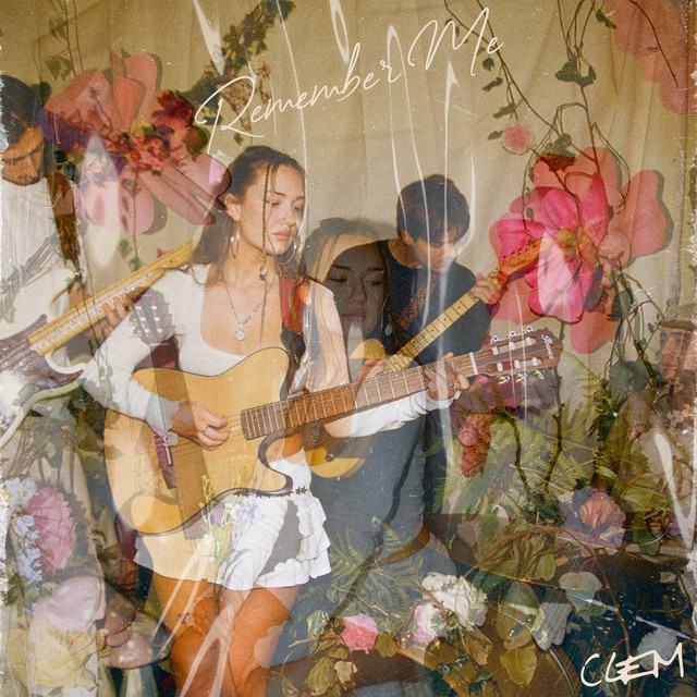 Remember Me cover art