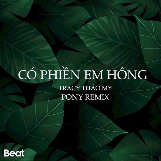 Có Phiền Em Hông - Beat Pony Remix