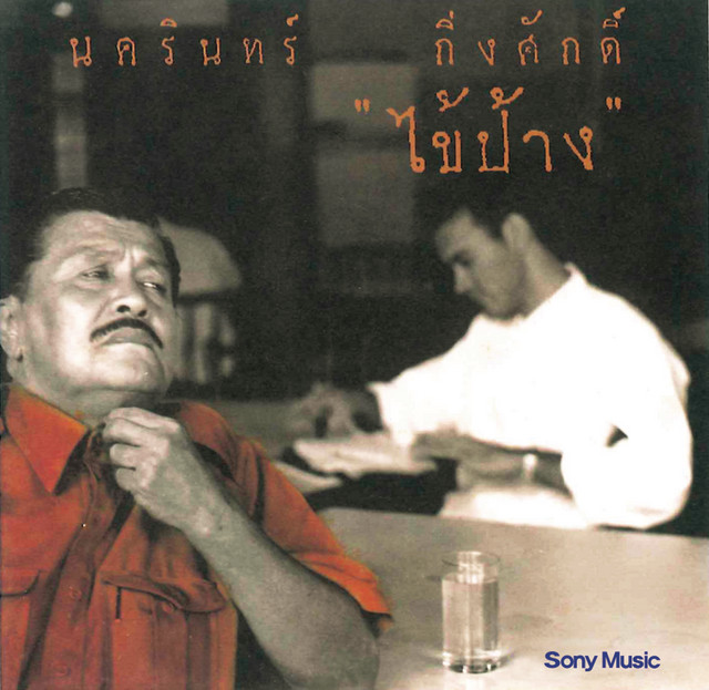 ไข้ป้าง cover art