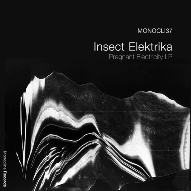 Pregnant Electricity LP cover art