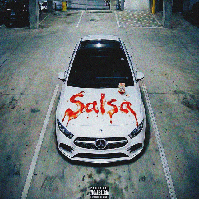 SALSA cover art
