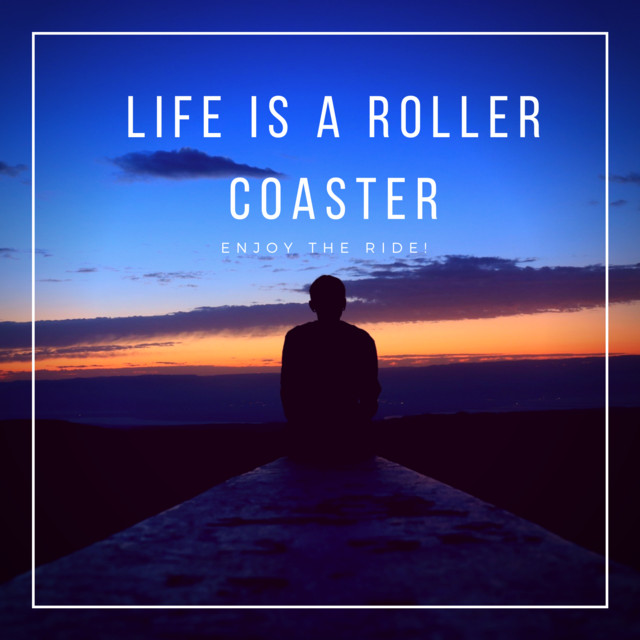 Life Is A Roller Coaster cover art