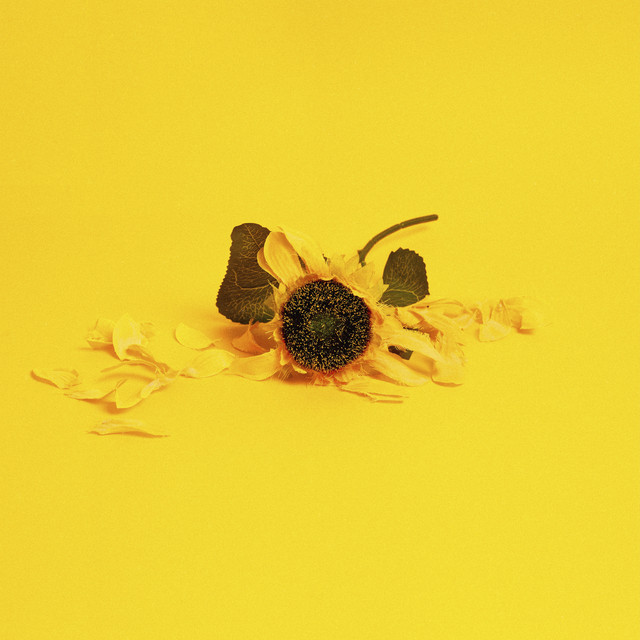 Flores a la Guerra