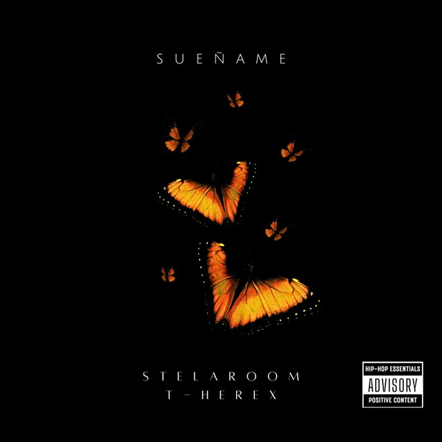 StelaRoom