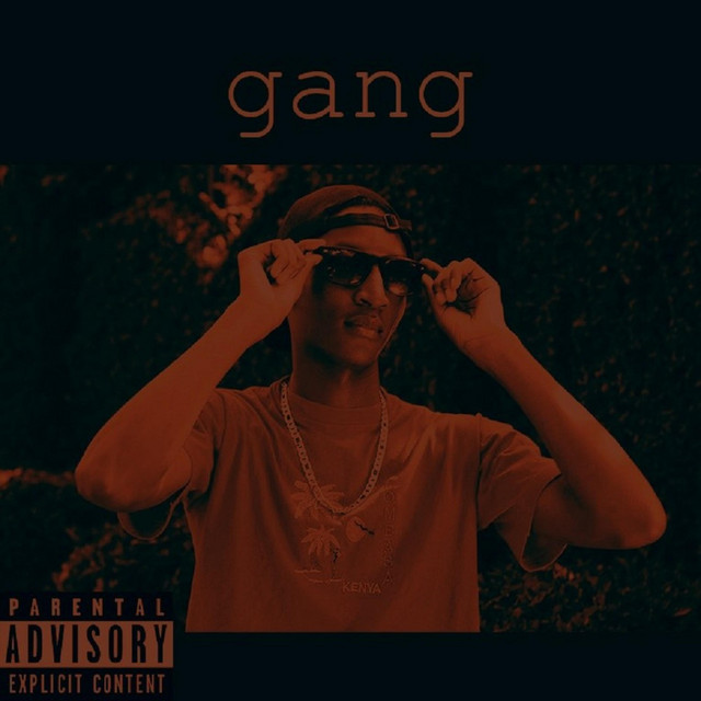 Gang - Single by Tndzi | Spotify