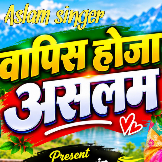 वापिस होजा असलम album image