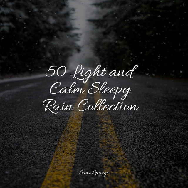 50 Light and Calm Sleepy Rain Collection - Album by Rainy Sounds | Spotify