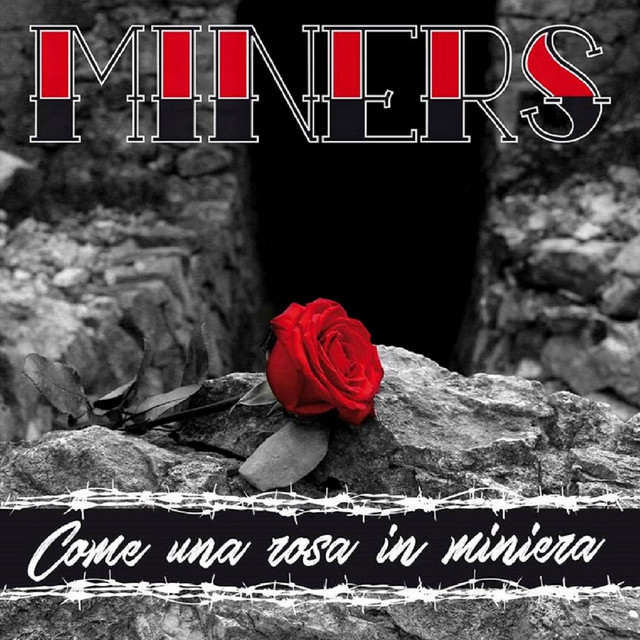 Come una rosa in miniera cover art