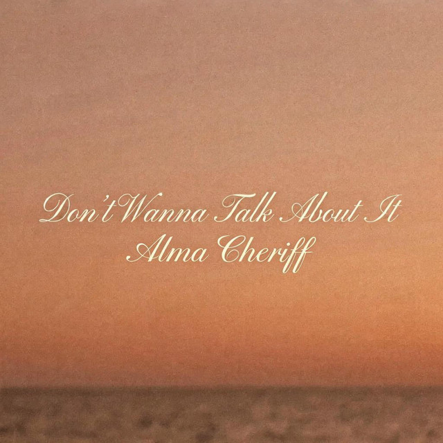 Don't Wanna Talk About It artwork