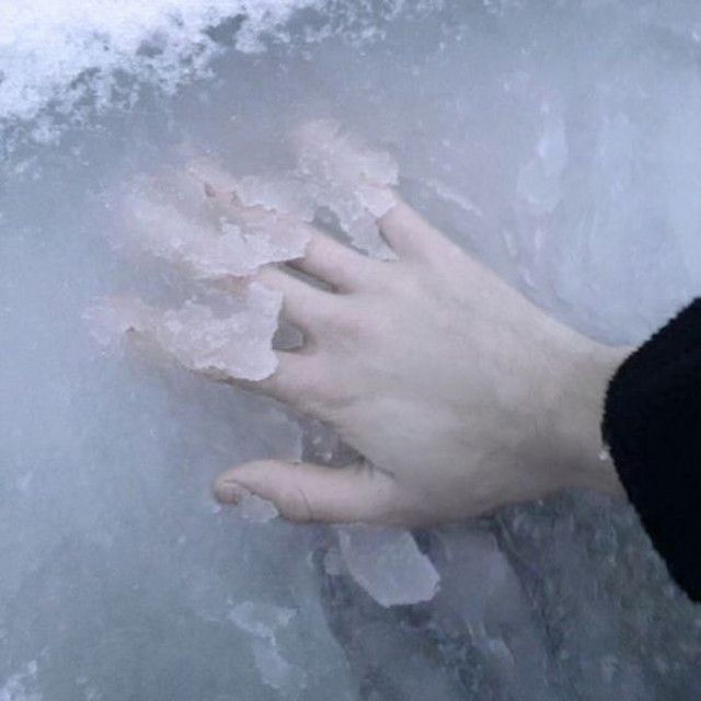 icedancer