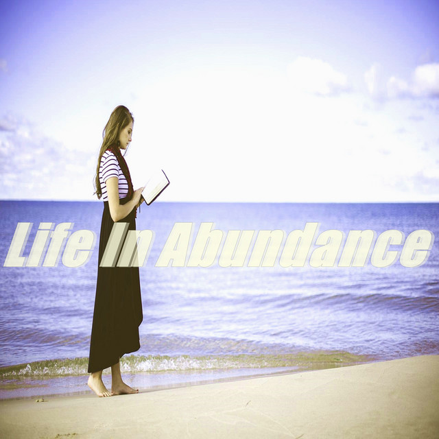 Life in Abundance cover art