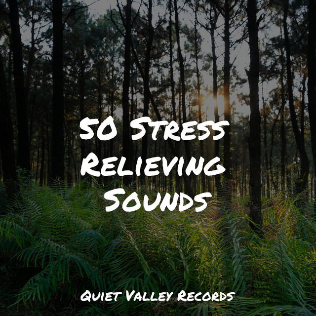 50 Stress Relieving Sounds cover art