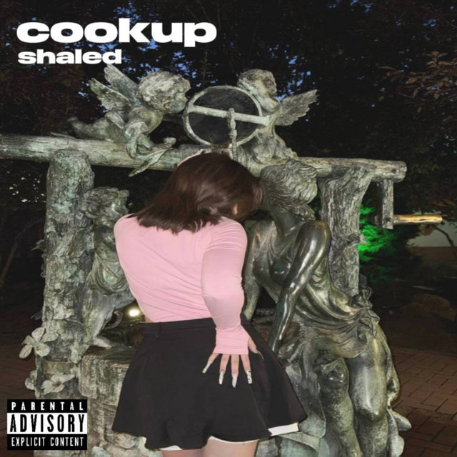 cookup - song and lyrics by shaled | Spotify