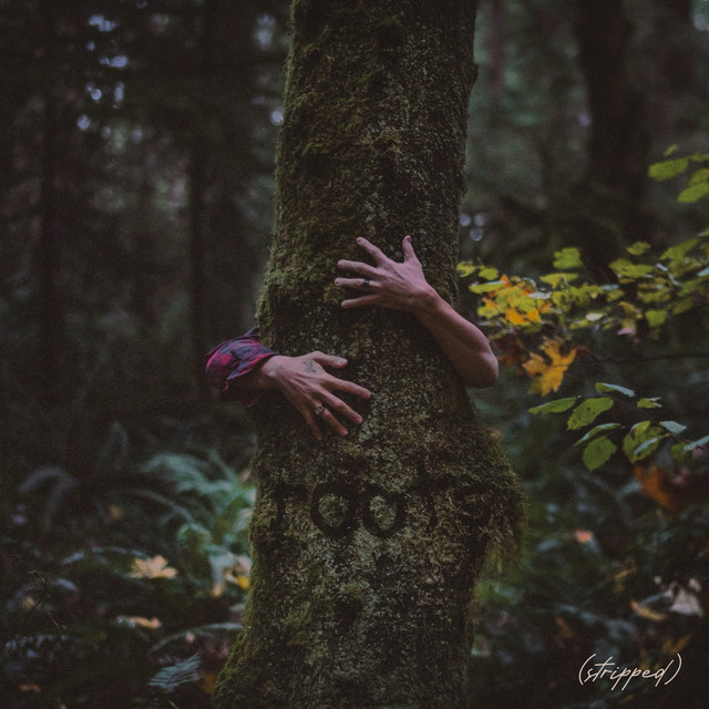 roots (Stripped) cover art