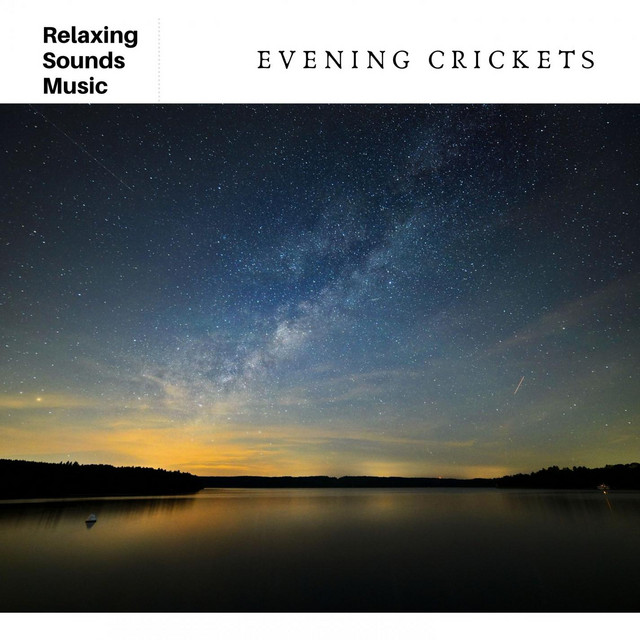 Evening Crickets: Relaxing Spa Sounds cover art