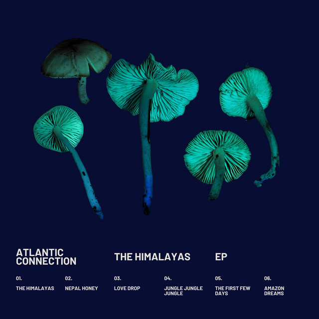 The Himalayas EP cover art
