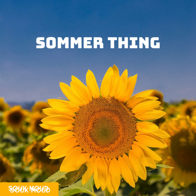 Sommer Thing cover art