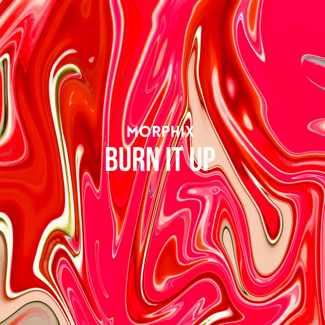 Burn It Up cover