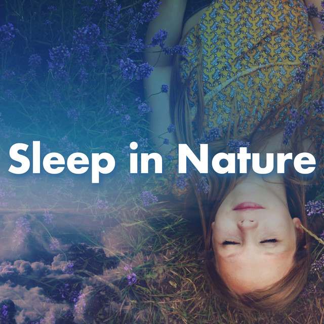 Sleep in Nature ! ! ! ! - Album by Sound Sleeping | Spotify