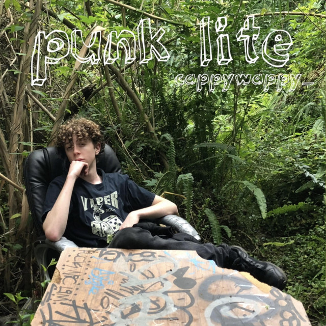 Punk Lite cover art