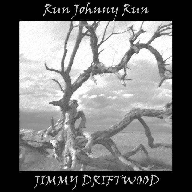 Run Johnny Run cover art