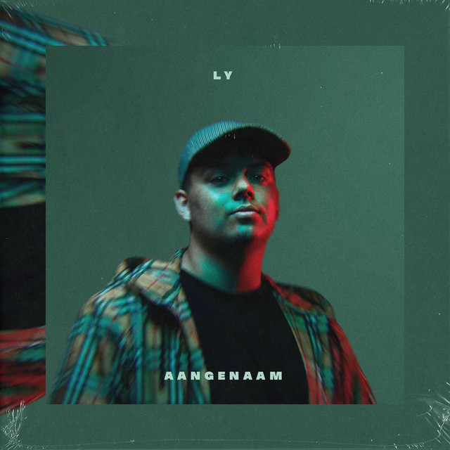 Aangenaam cover art