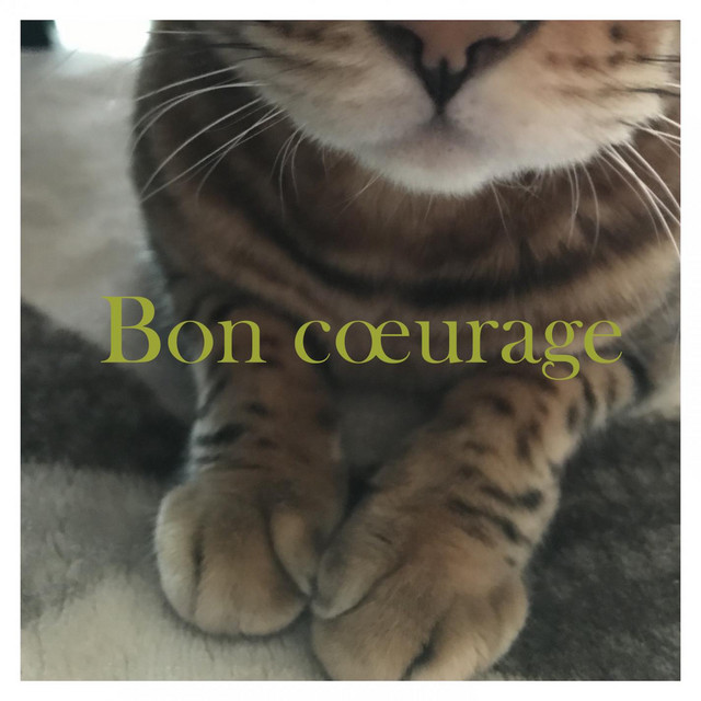Tous Les Chats Sont Des Chatons Song And Lyrics By Le Chat Au Cafe Spotify