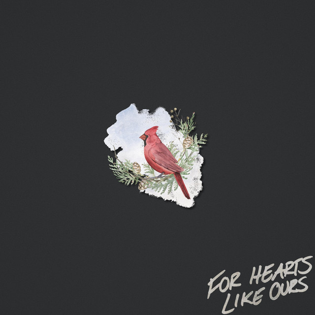 fly cover art