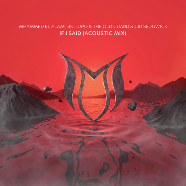 If I Said (Acoustic Mix)