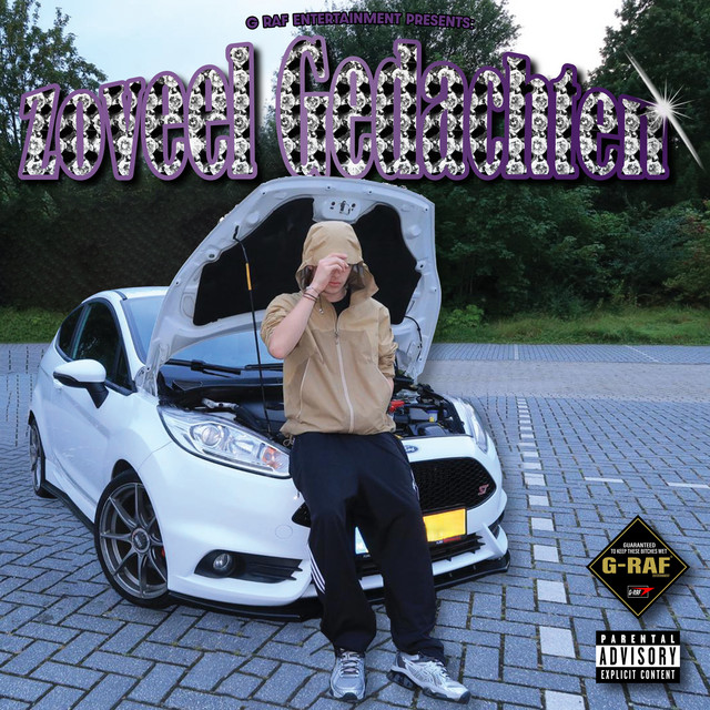 Zoveel Gedachten cover art
