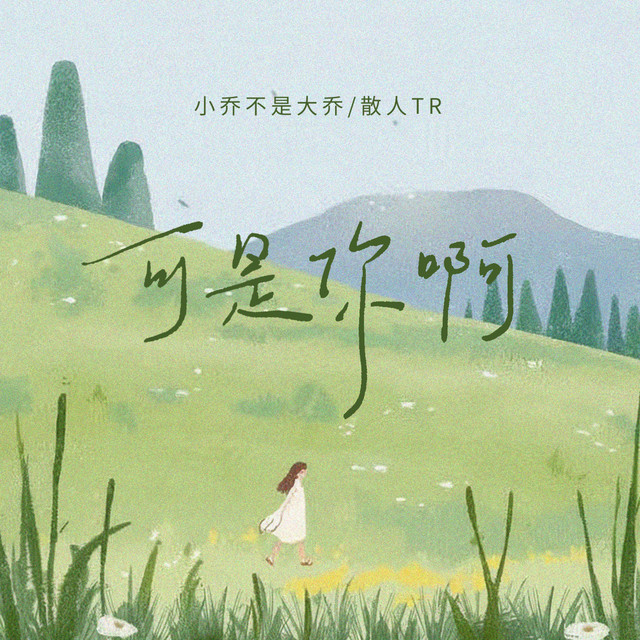 小乔不是大乔