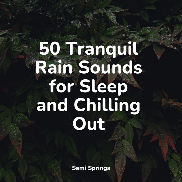 50 Sounds of Rain and Ambient Rain Sounds - Album by Smart Baby Lullaby ...