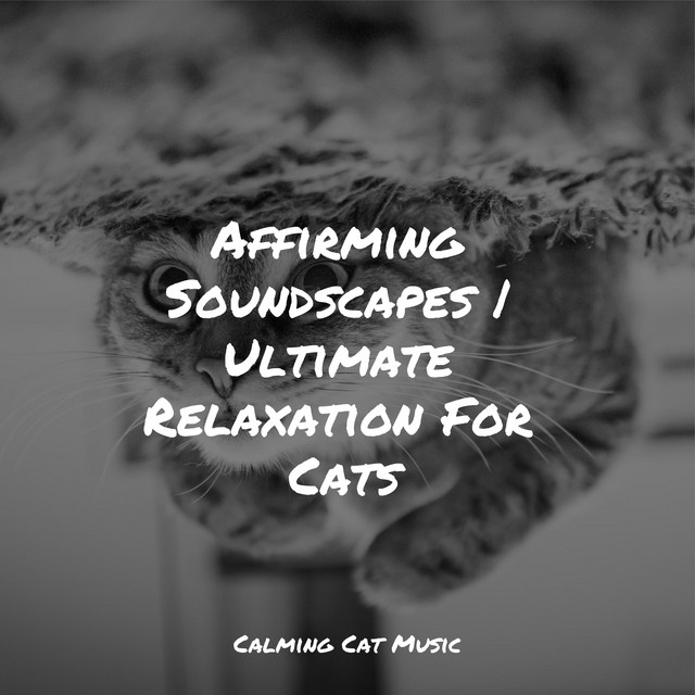 Affirming Soundscapes | Ultimate Relaxation For Cats - Album by Music ...