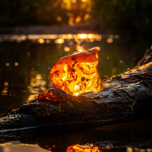 Shimmer of the Amber album art