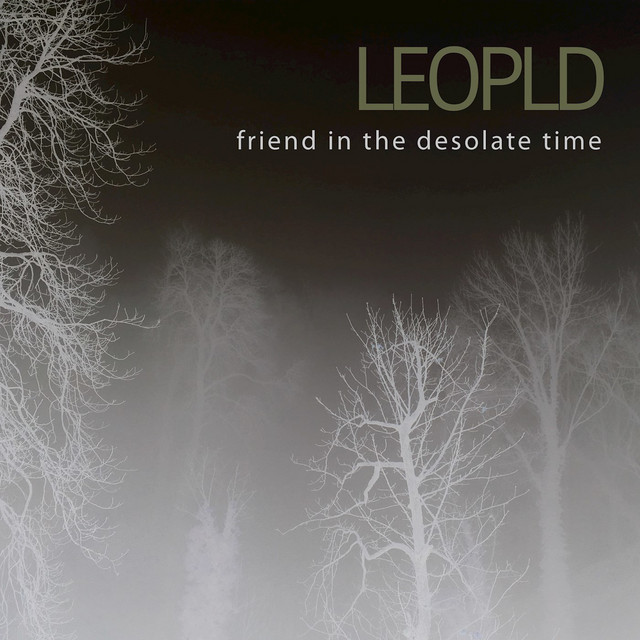 friend in the desolate time cover art