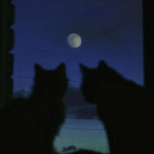 i watch the moon (tek it acoustic) cover art