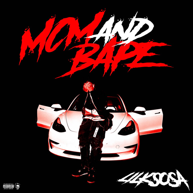 MCM AND BAPE cover art