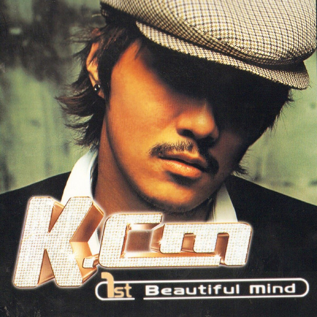Beautiful Mind cover