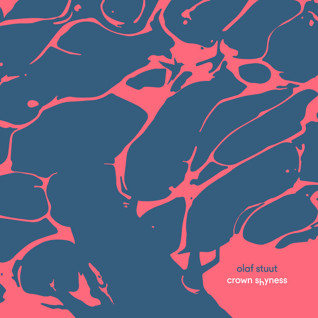 Crown Shyness album art