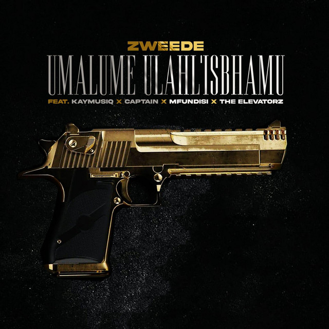Umalume Ulahl'isbhamu - Single by Zweede | Spotify